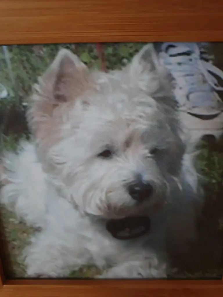 Condolence image of Elke