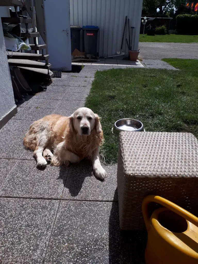Image from Rico 