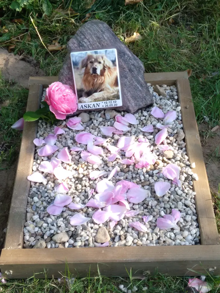 Condolence image of Claudia