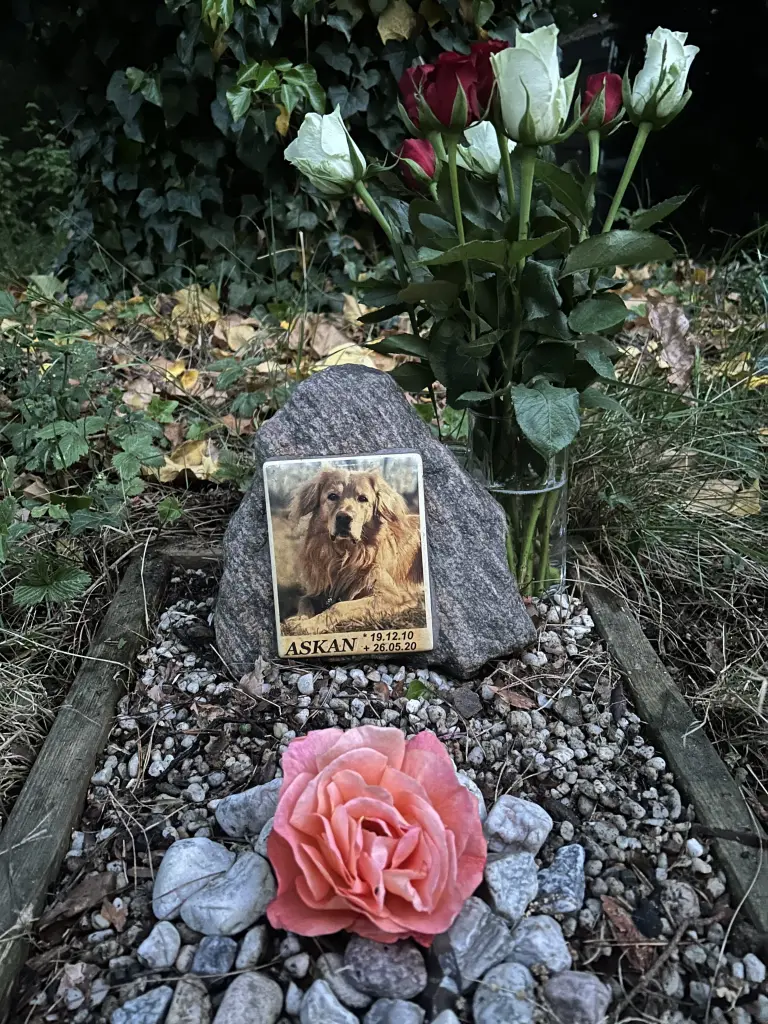 Condolence image of Alexander
