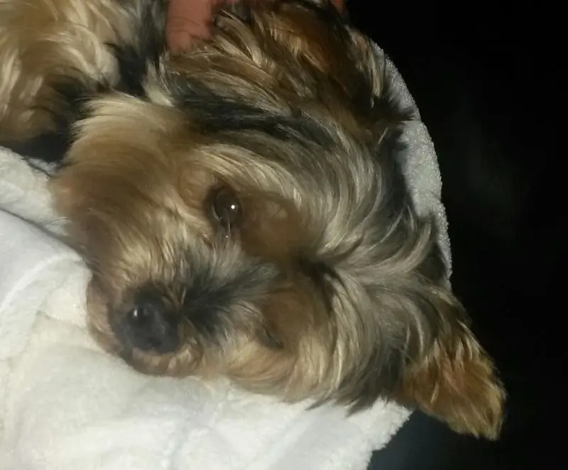 Condolence image of Gaby