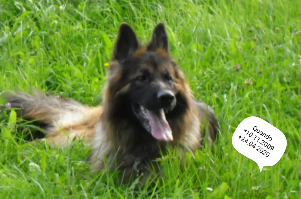 Andachtsbild von Birgit und Uwe 