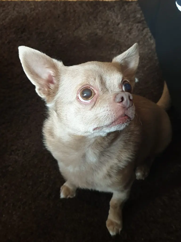 Image from Milow