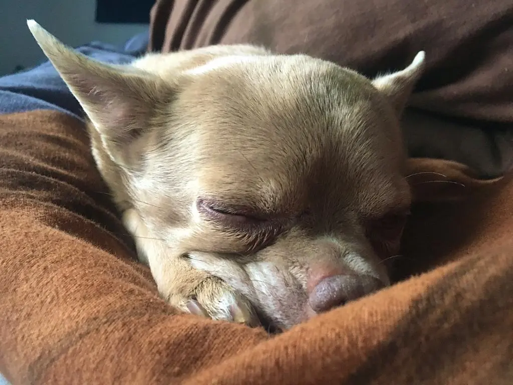 Image from Milow