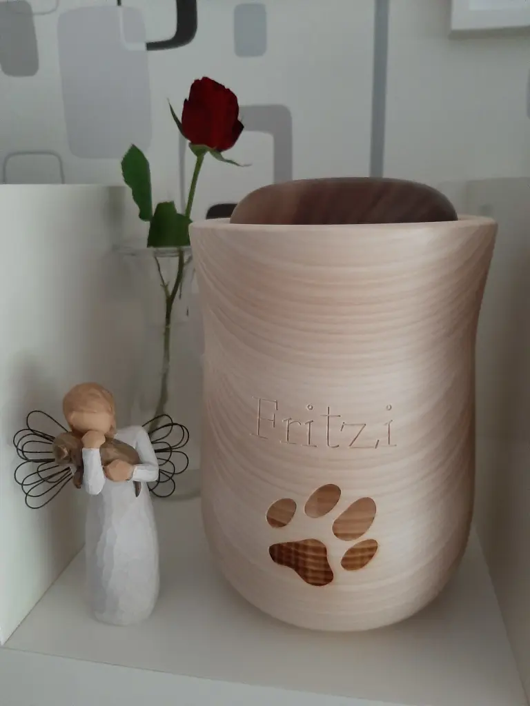 Image from Fritzi
