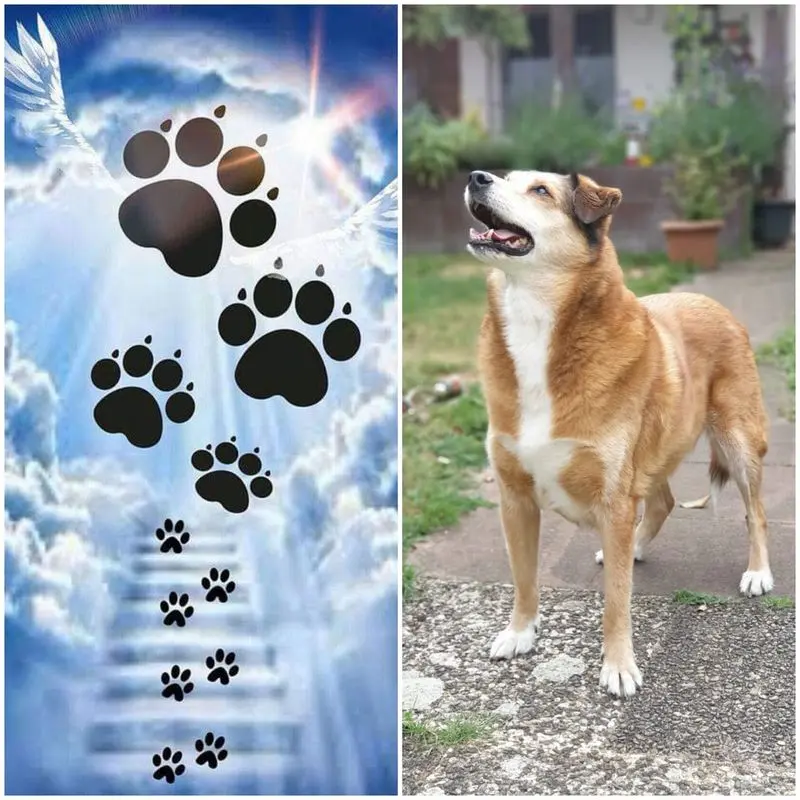 Condolence image of Deine Mama 