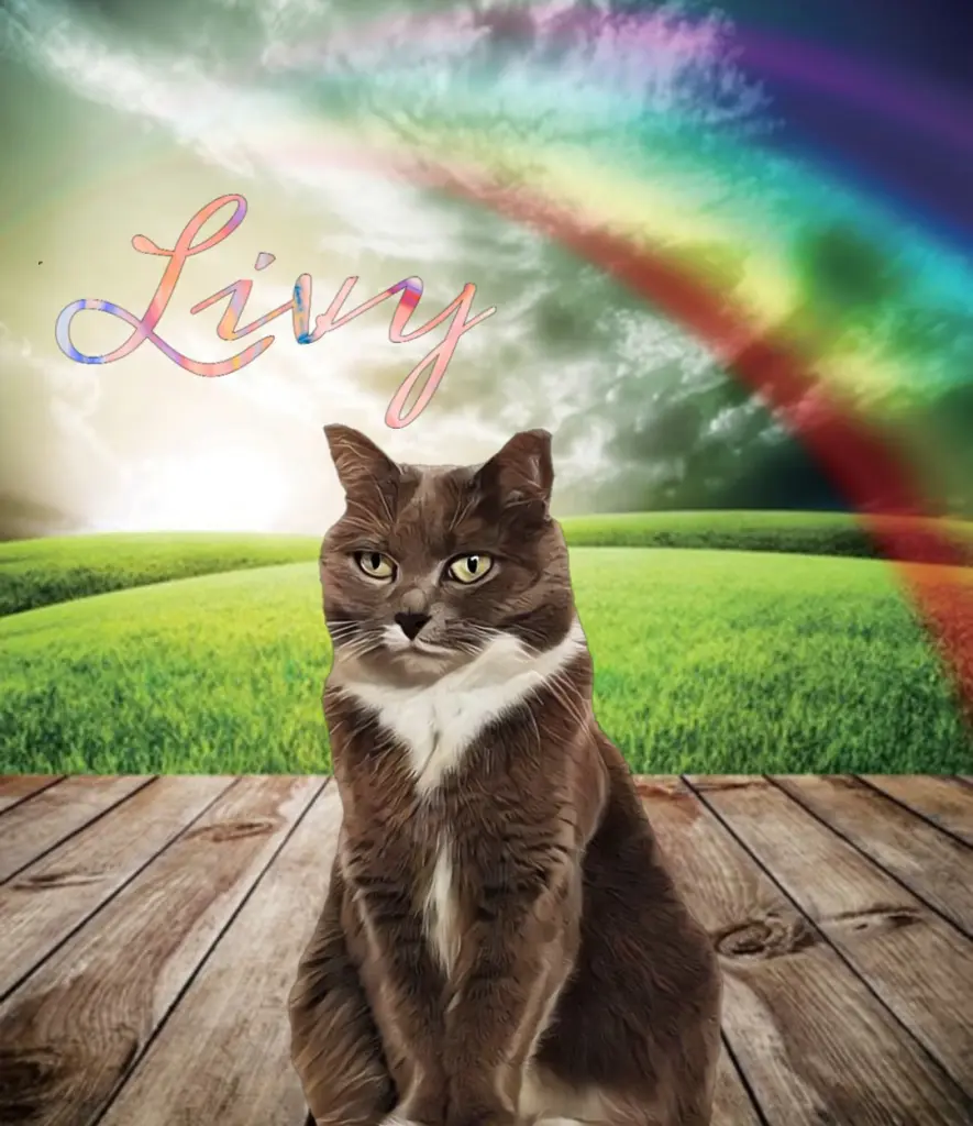 Image from Livy 