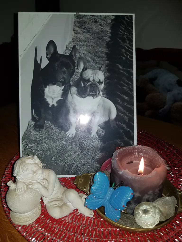 Condolence image of Fraule ,Meggy und Robby