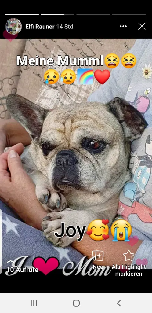Condolence image of Mami,Meggy ,Eobby