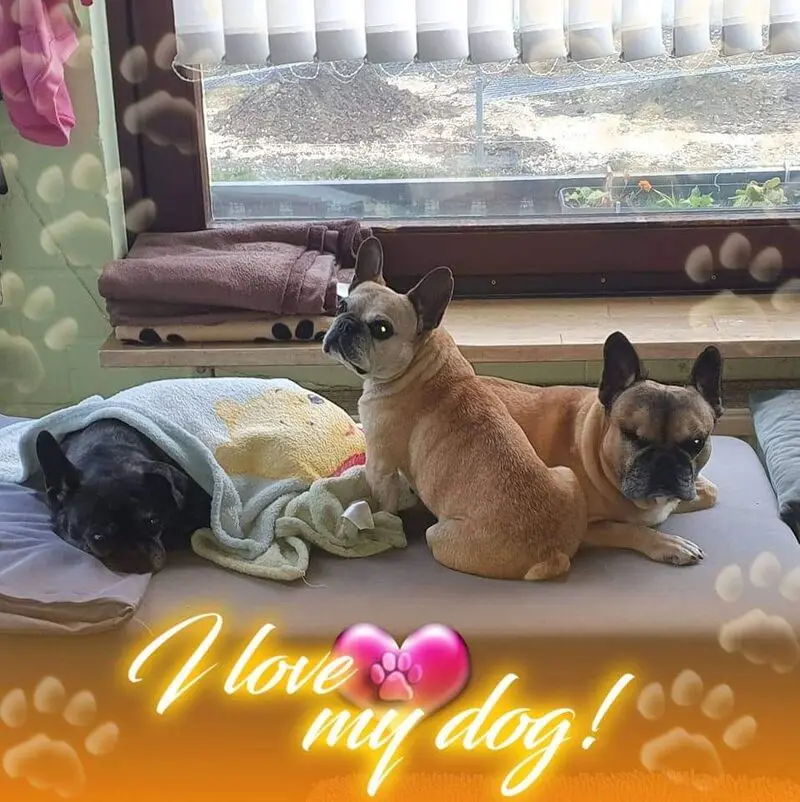 Condolence image of Fraule,Meggy,Robby,