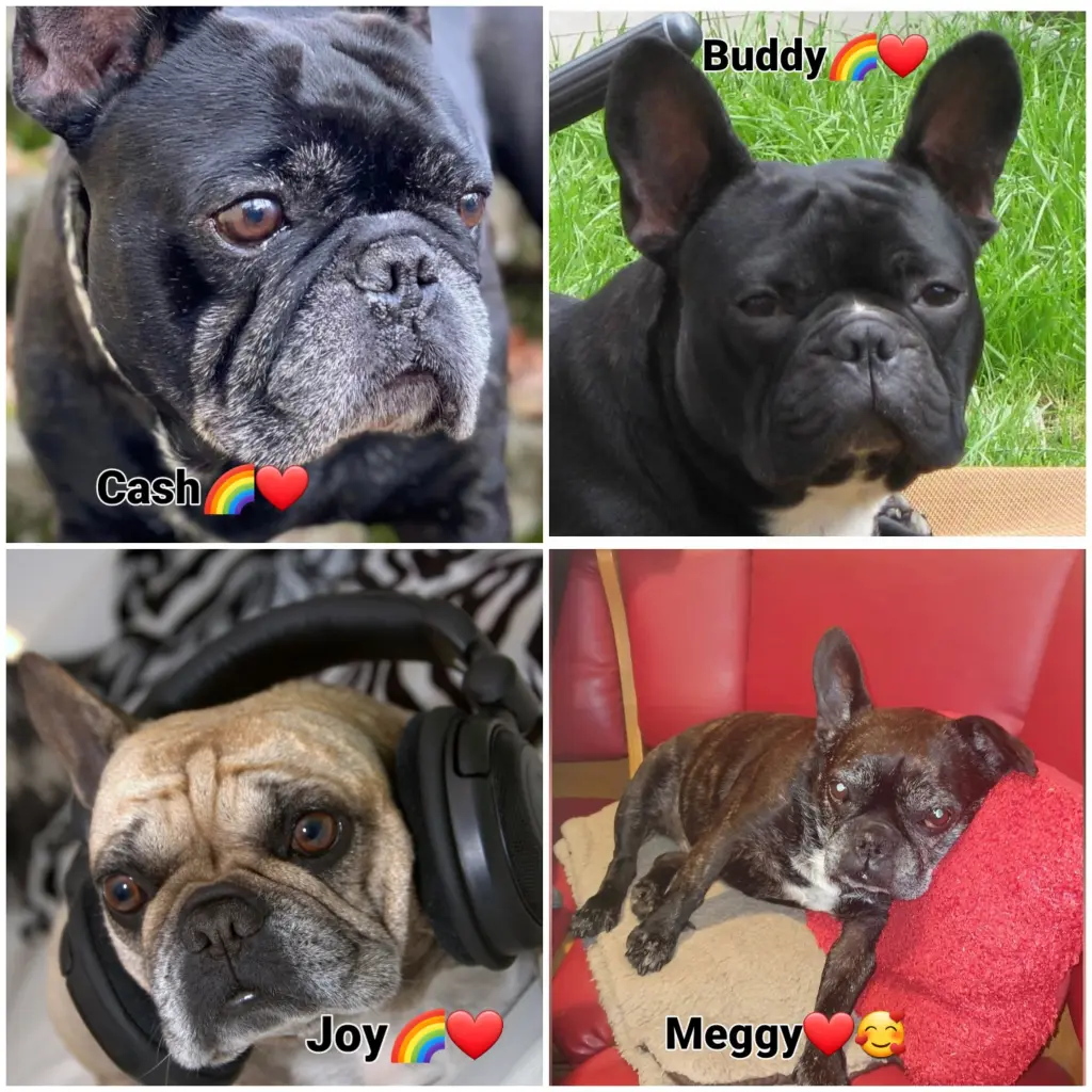 Condolence image of Fraule,Meggy,Robby und Bonny