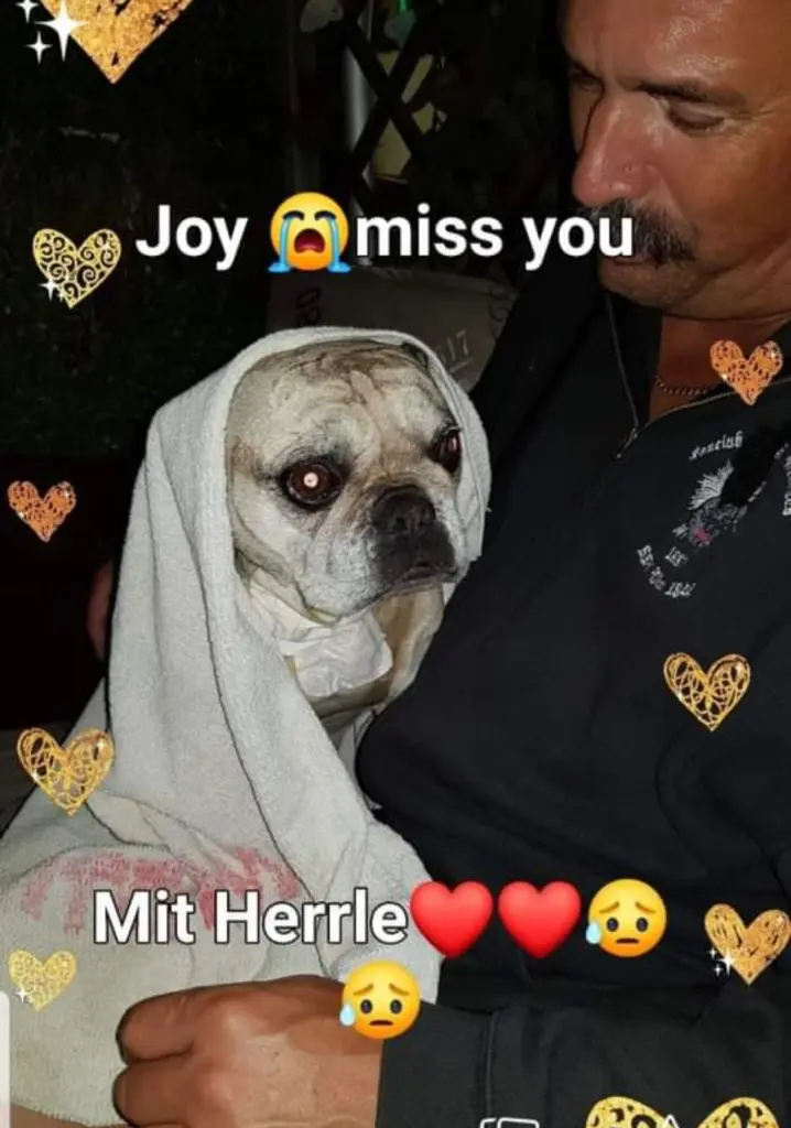 Condolence image of Mammi,Robby und Bonny