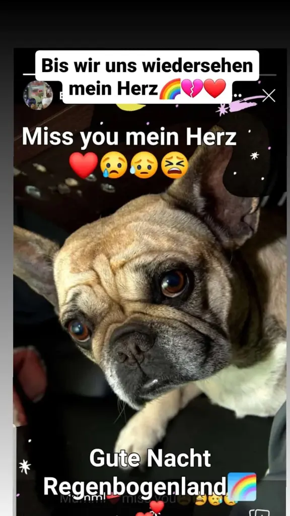 Condolence image of Mami mit Bonny und Bruno