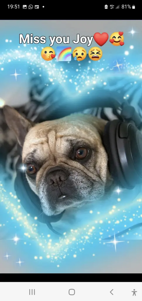 Condolence image of Muddy