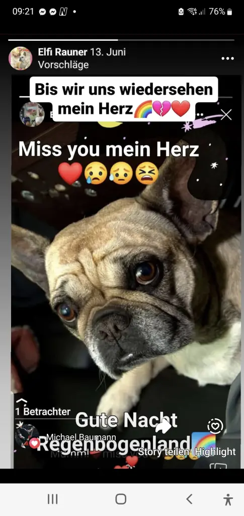 Condolence image of Elfi...deine Muddy Rauner-Jäger
