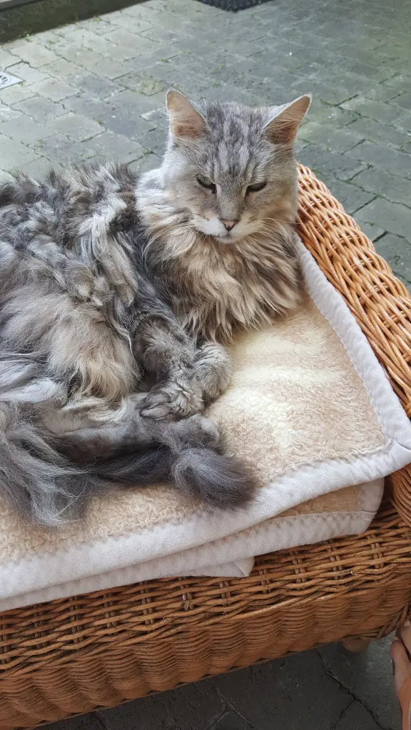 Andachtsbild von Barbara