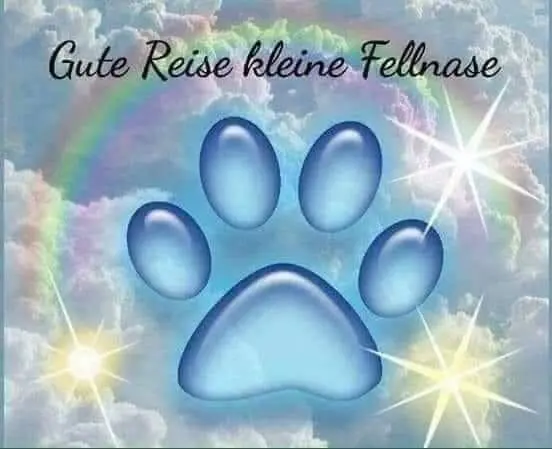 Condolence image of Tanja