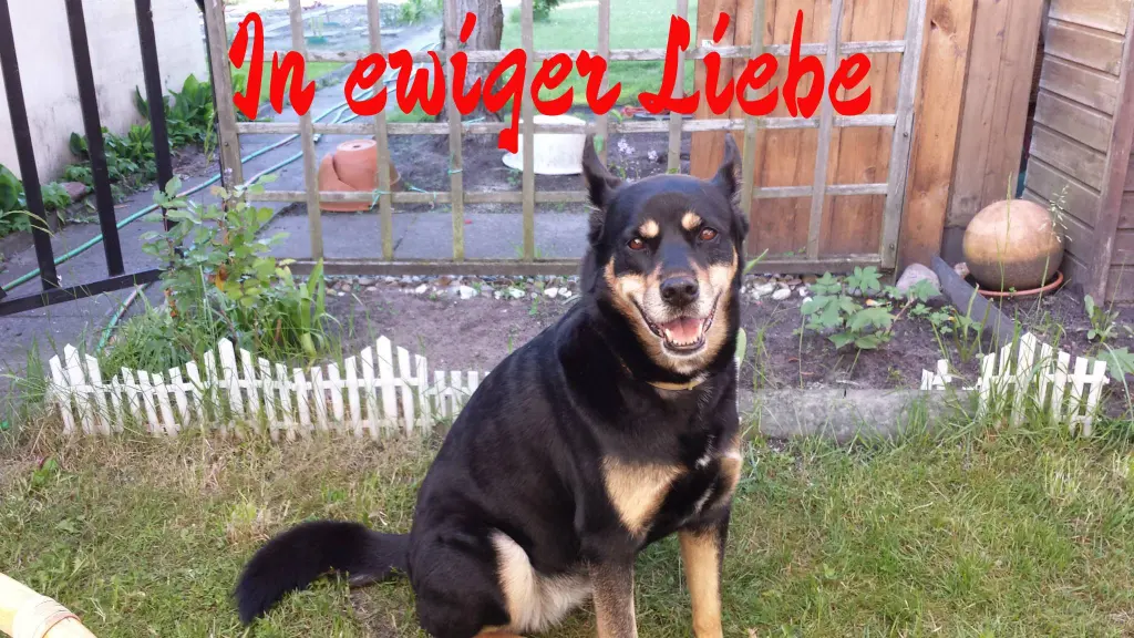 Condolence image of Karsten