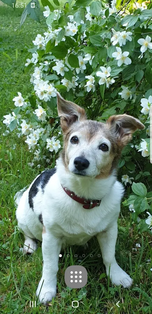 Condolence image of Kerstin