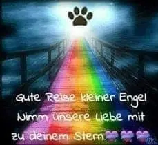 Condolence image of Birgit und Uwe