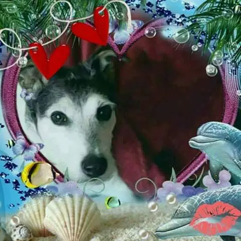 Image from Jacky