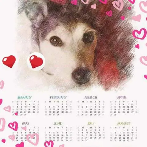 Image from Jacky
