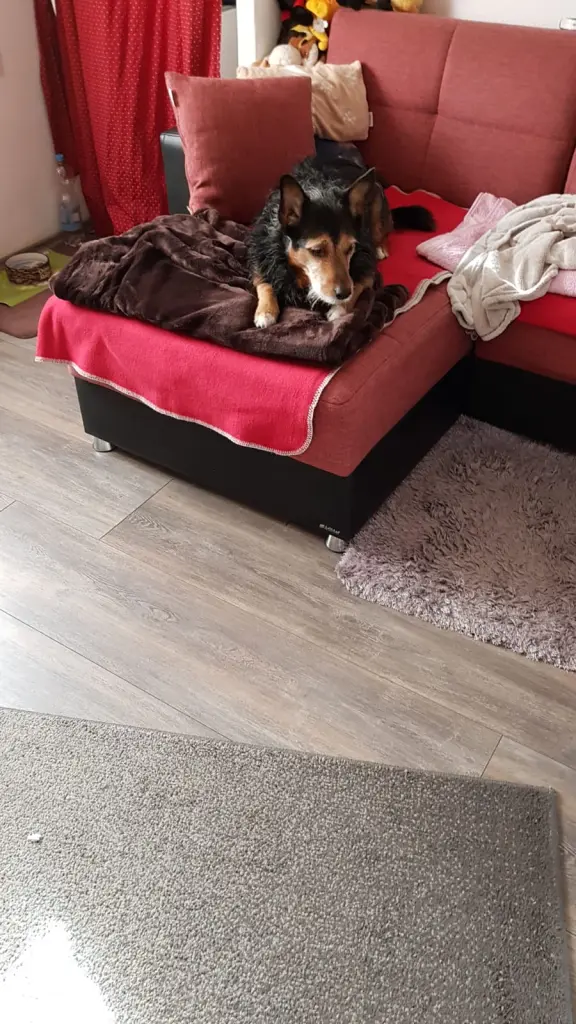 Image from Lucky