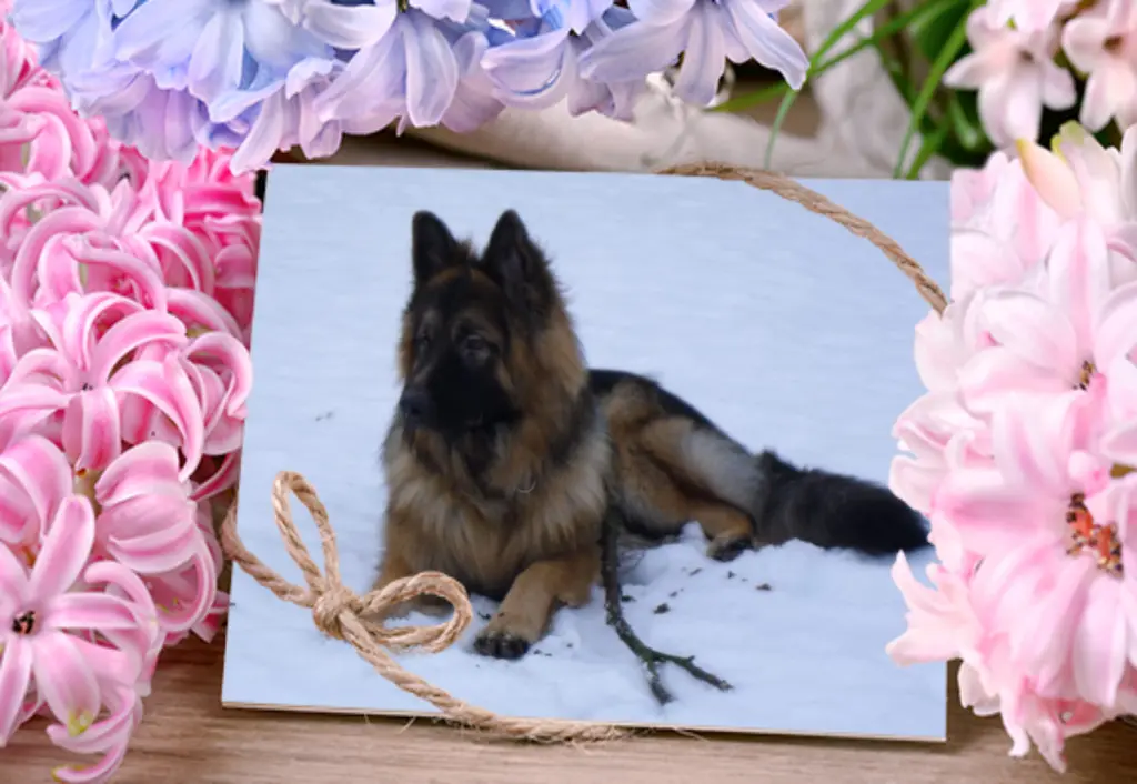 Condolence image of Birgit und Uwe