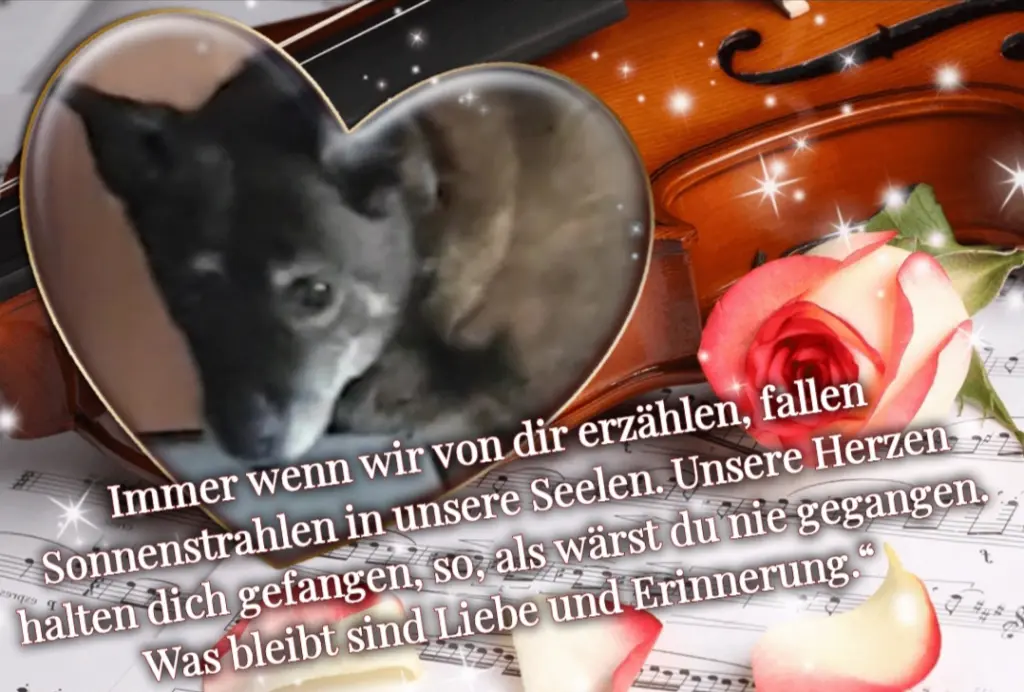 Condolence image of Von Abla für Lady&Nuray❤