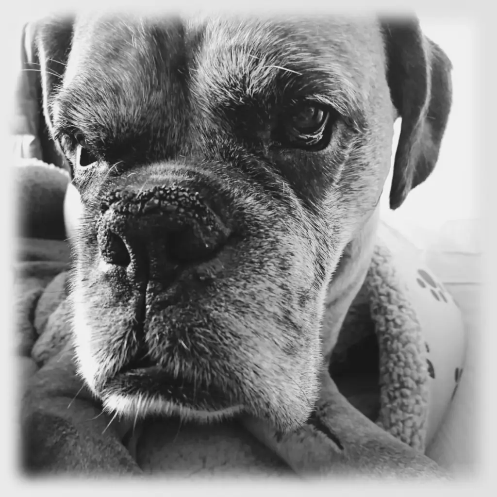 Image from George 