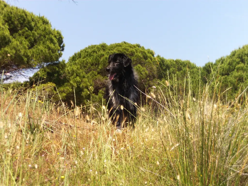 Image from Siedem