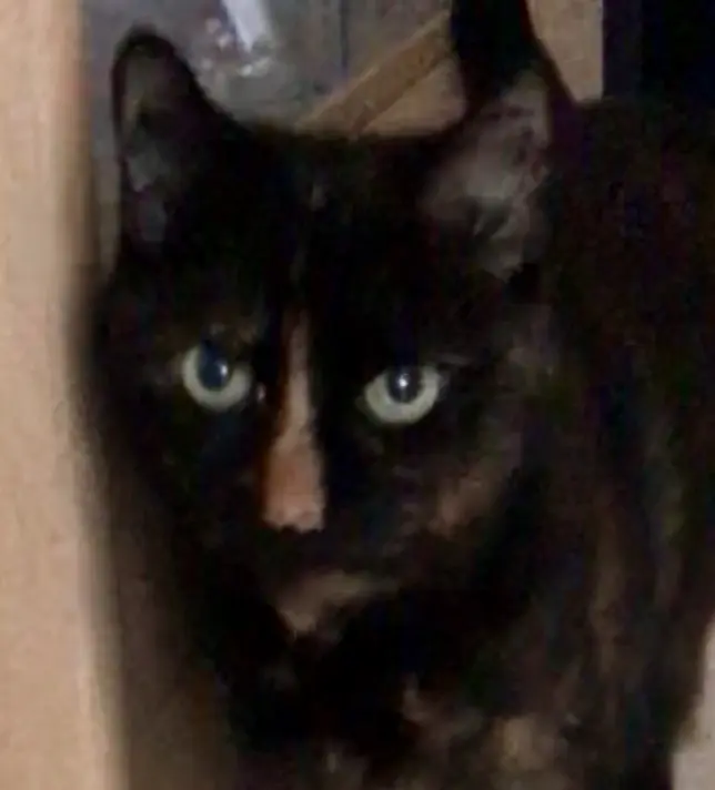 Condolence image of Ulrike