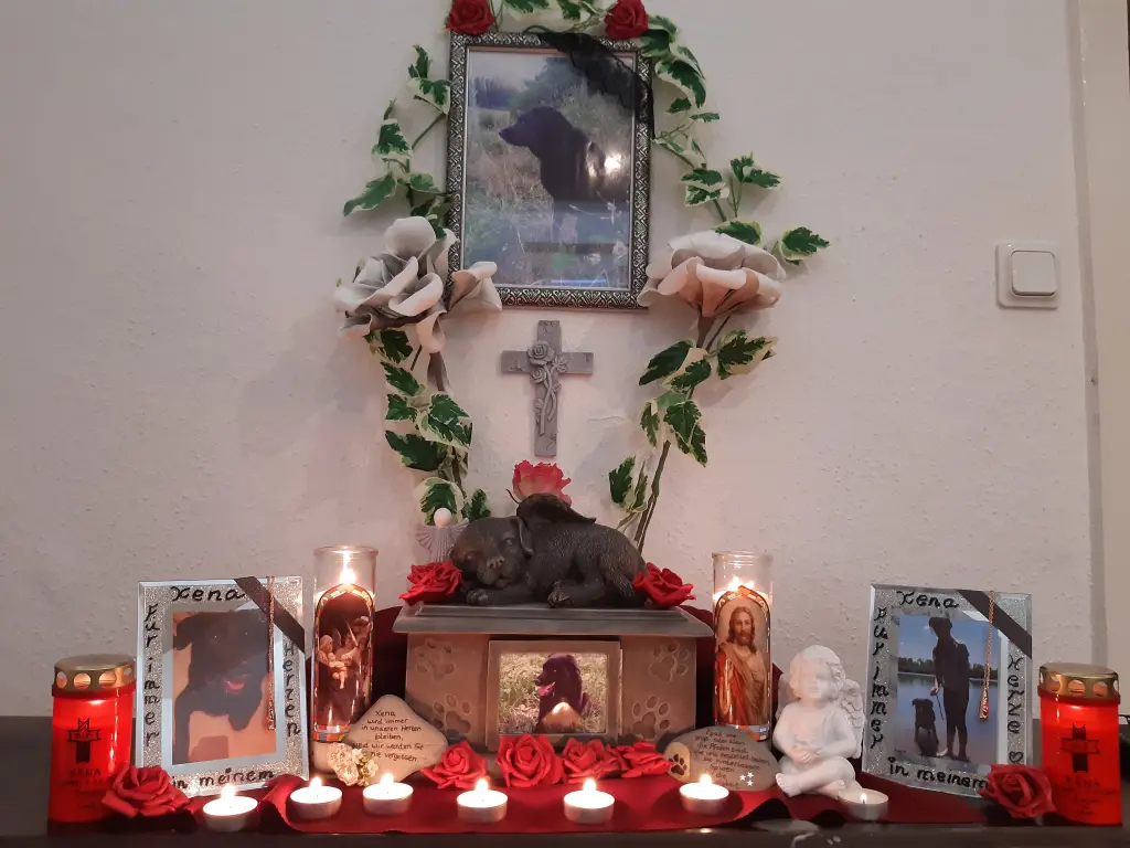 Image from XENA
