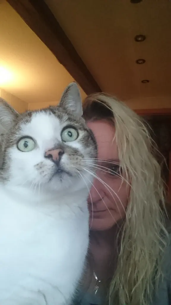 Image from Merlyn