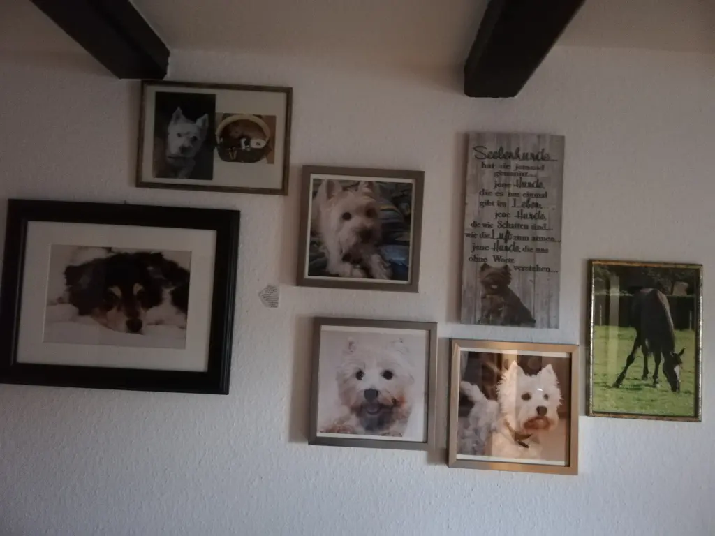 Image from Peggy