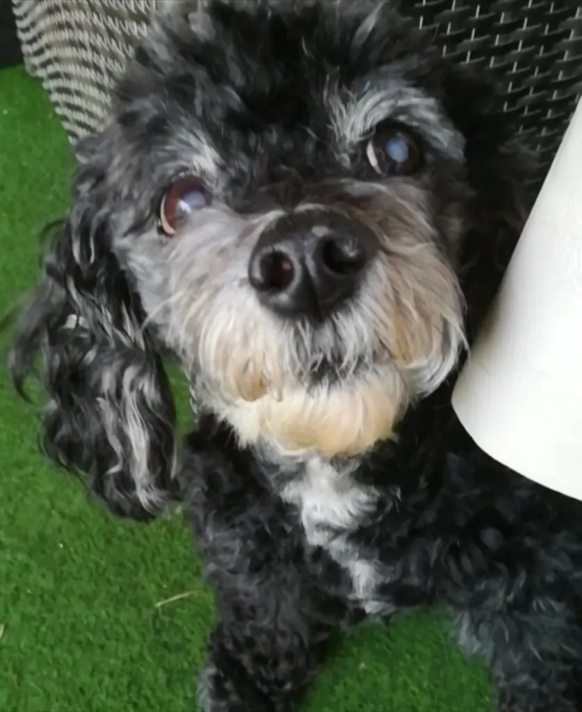 Condolence image of Manuela 