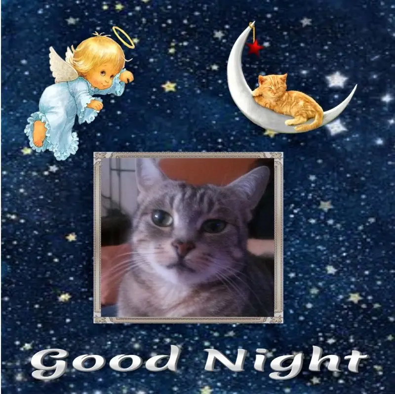 Andachtsbild von Gute Nacht❤️❤️❤️