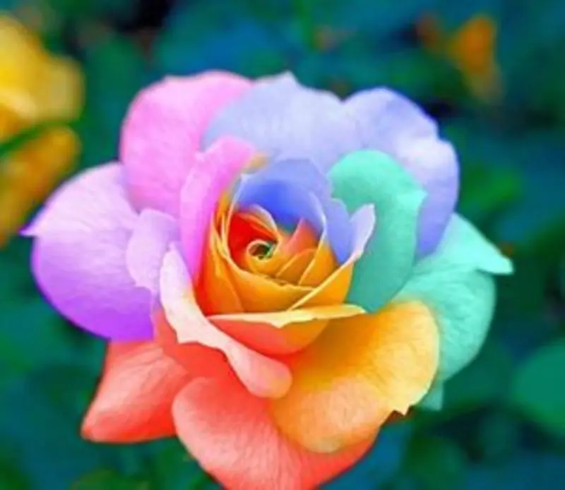 Andachtsbild von Patricia mit Bunny 