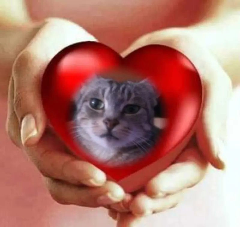 Andachtsbild von ❤️❤️❤️