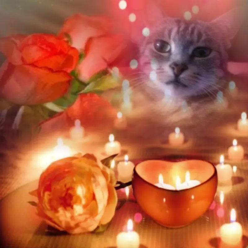 Andachtsbild von ❤️❤️❤️❤️❤️❤️❤️❤️❤️❤️❤️❤️❤️❤️