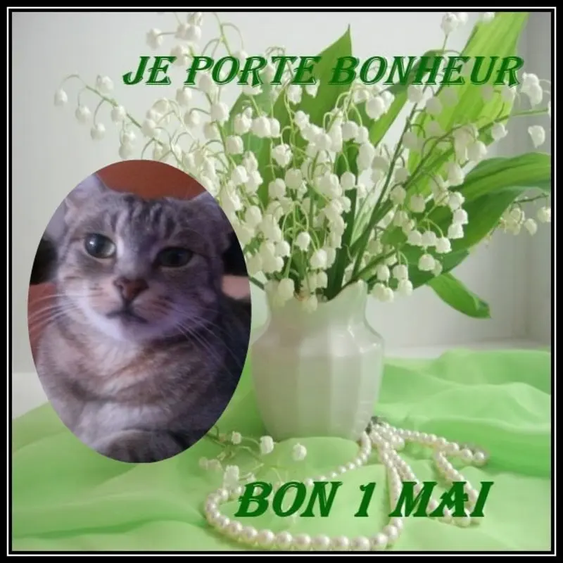 Andachtsbild von ❤️❤️❤️❤️❤️❤️❤️❤️❤️❤️❤️❤️❤️❤️