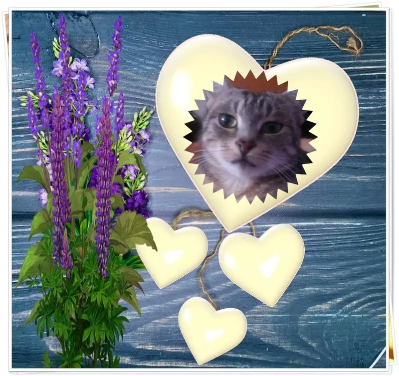 Andachtsbild von ❤️❤️❤️❤️❤️❤️❤️❤️❤️❤️❤️❤️❤️❤️