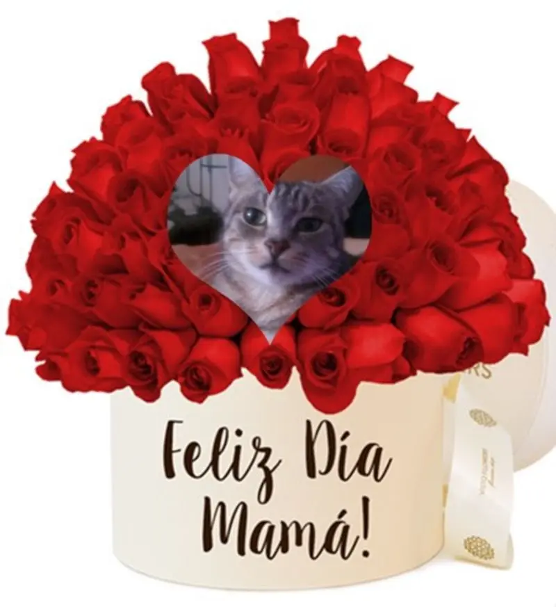 Andachtsbild von ❤️Mama❤️