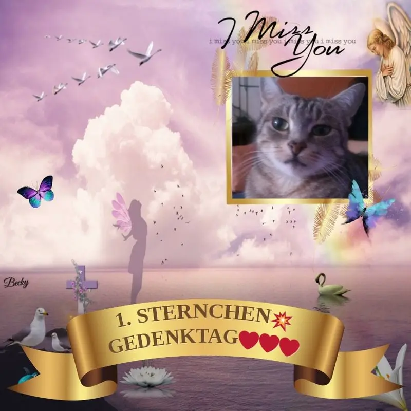 Andachtsbild von 1.Sternchen❤️Gedenktag❤️