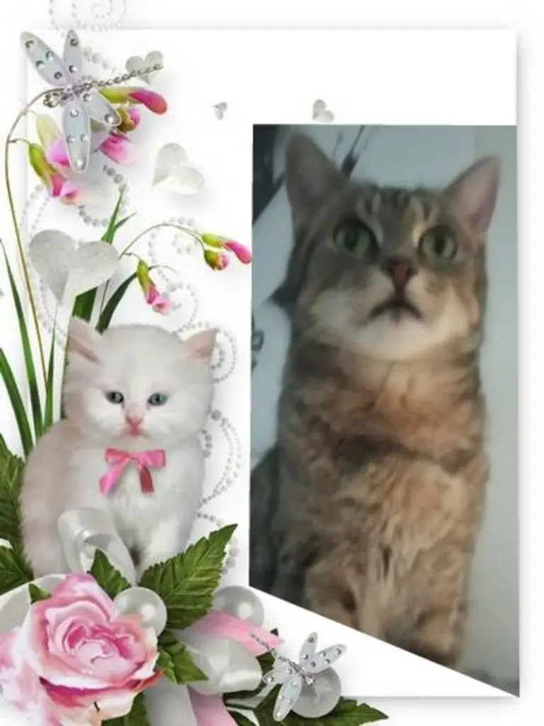 Andachtsbild von ❤️❤️❤️❤️❤️❤️❤️❤️❤️❤️❤️❤️❤️❤️