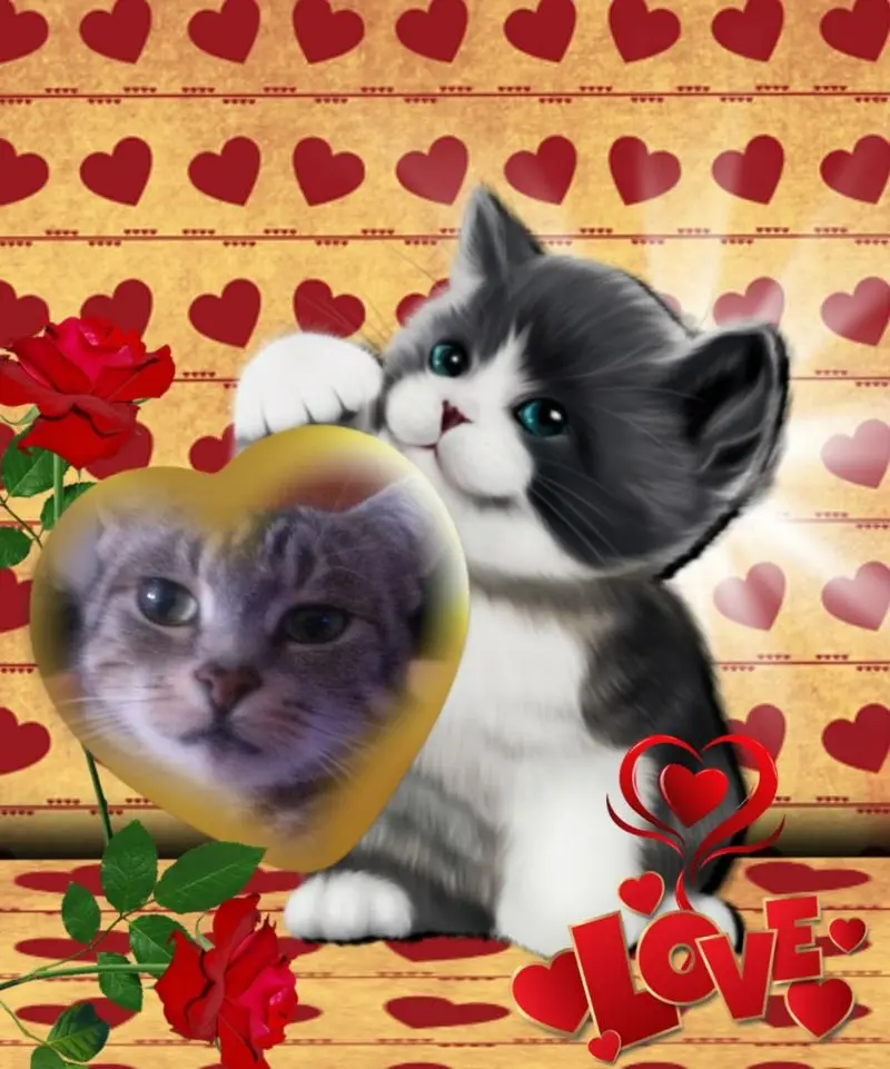 Andachtsbild von ❤️❤️❤️❤️❤️❤️❤️❤️❤️❤️❤️❤️❤️❤️