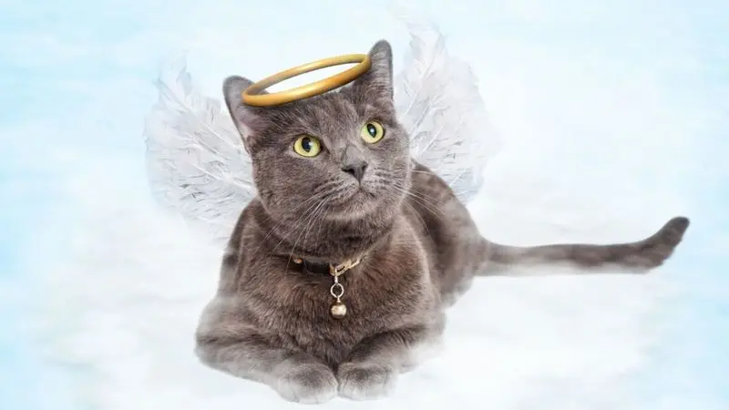 Andachtsbild von Sternchenpost ⭐