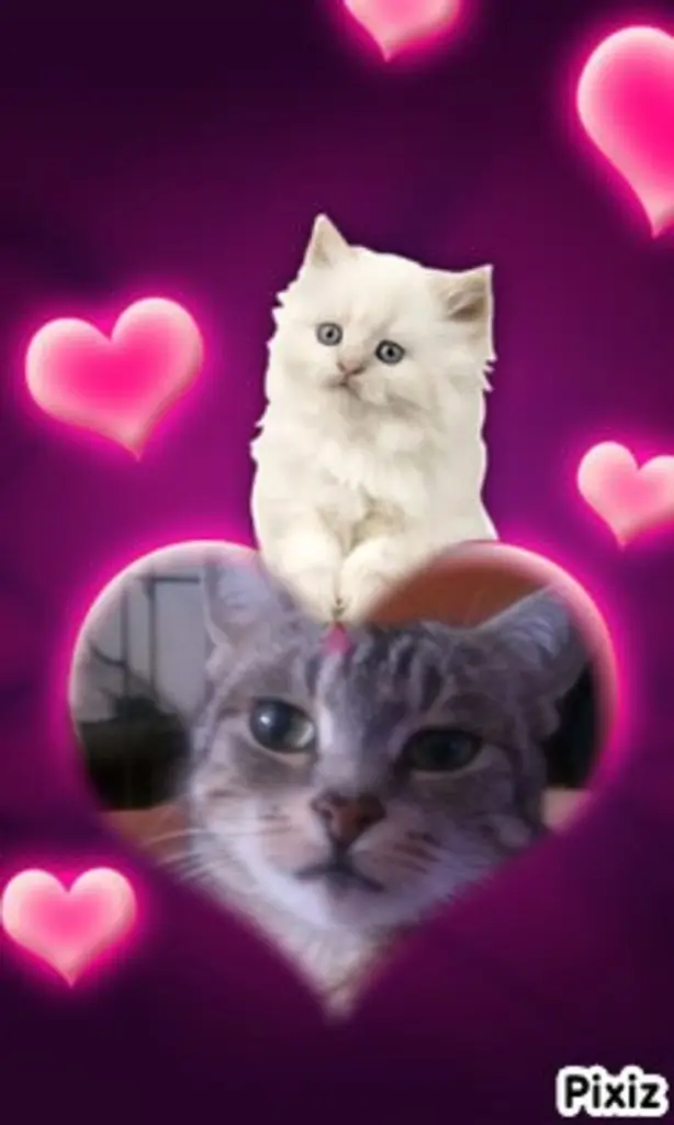 Andachtsbild von Gute Nacht❤️❤️❤️