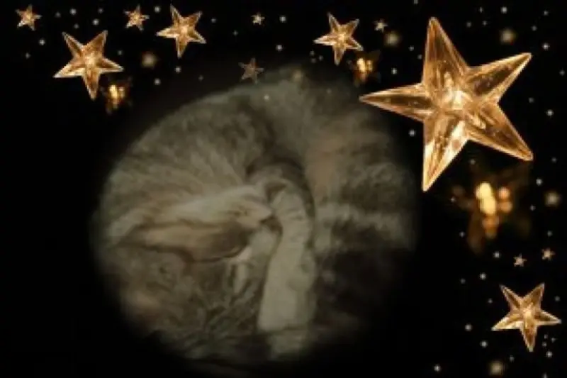 Andachtsbild von Gute Nacht❤️❤️❤️