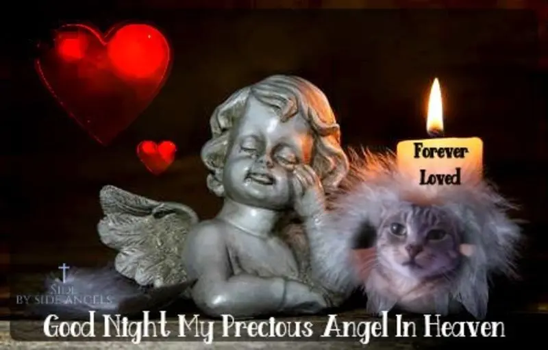 Andachtsbild von ❤️❤️❤️❤️❤️❤️❤️❤️❤️❤️❤️❤️❤️❤️